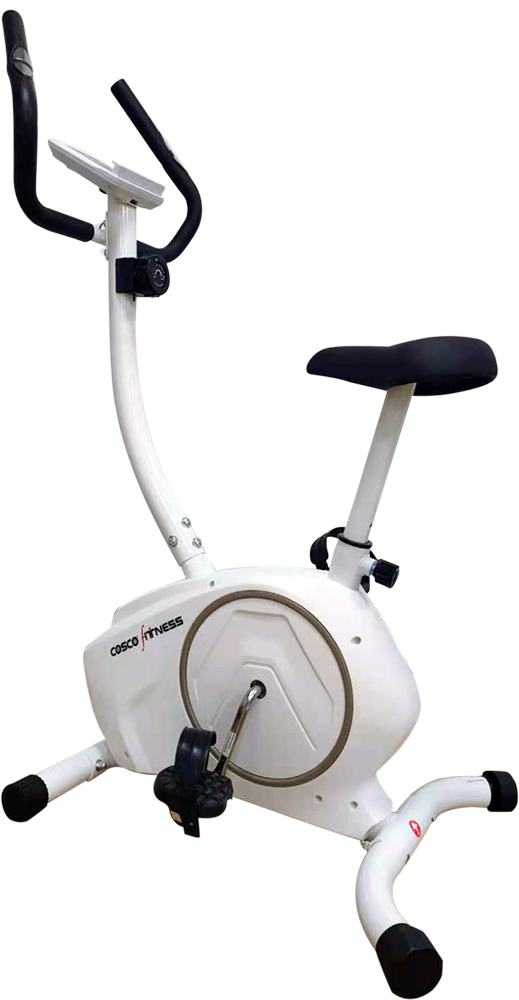 Cosco exercise bike online price