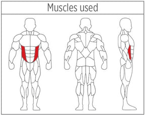 XDEGREE XPC-2038 Torso Rotation